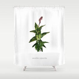 Peppermint Mentha × piperita Shower Curtain