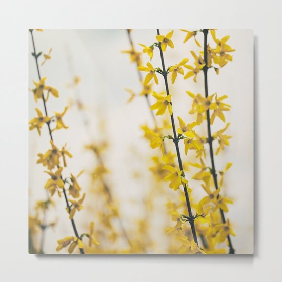 Mellow Yellow Metal Print