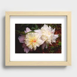 The Fluff Recessed Framed Print