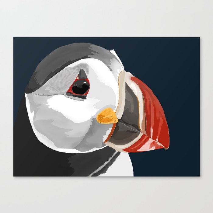 Pablo the Puffin Canvas Print
