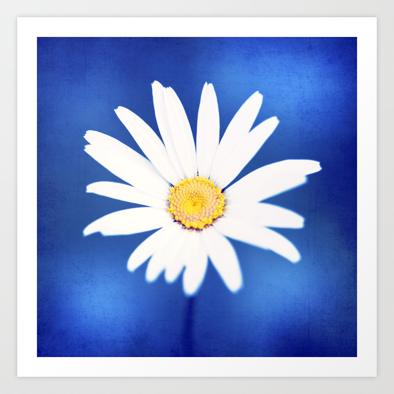 Giclee Print Flowering Plant Blue and Yellow Skies Nature