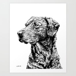 Labrador Retriever Art Print