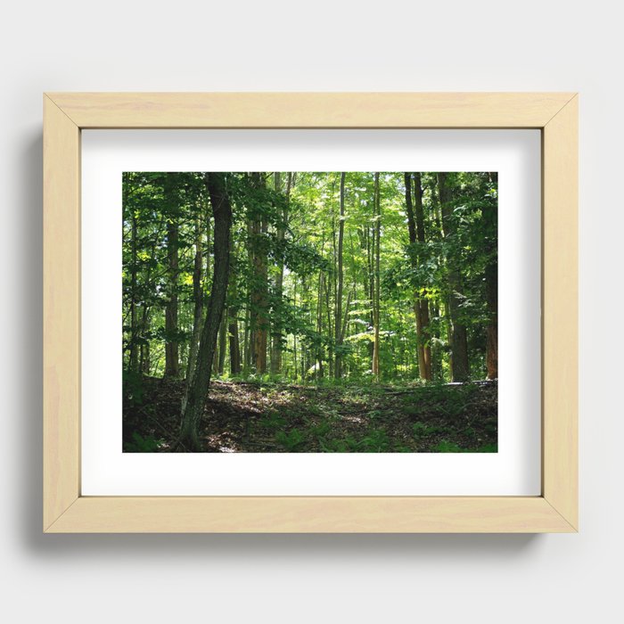 Pine tree woods Recessed Framed Print