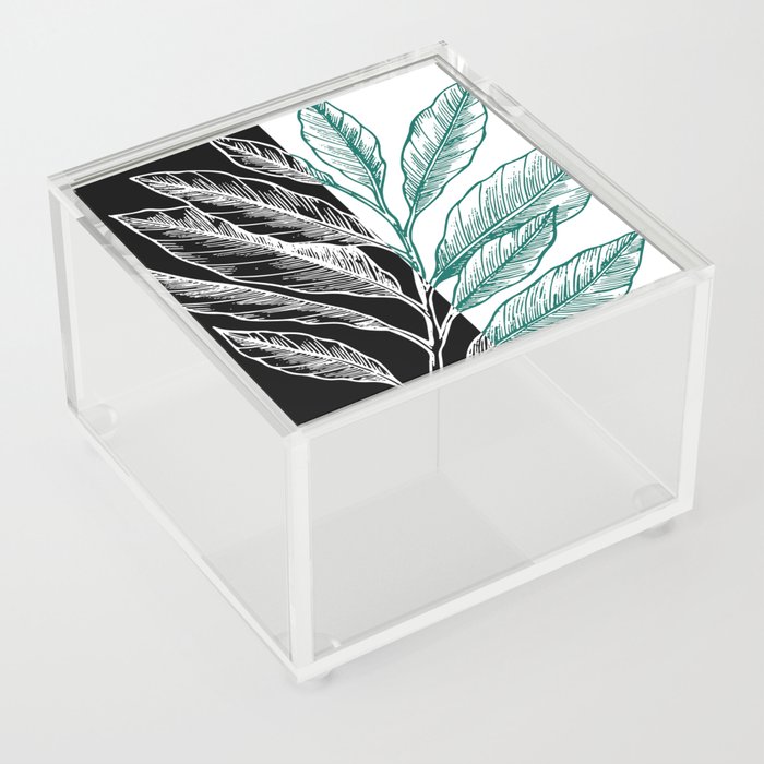 Fine Art Leaves Nature Cottagecore Floral Green Black White Acrylic Box