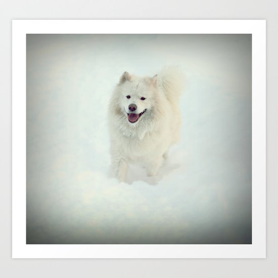DOG Art Print