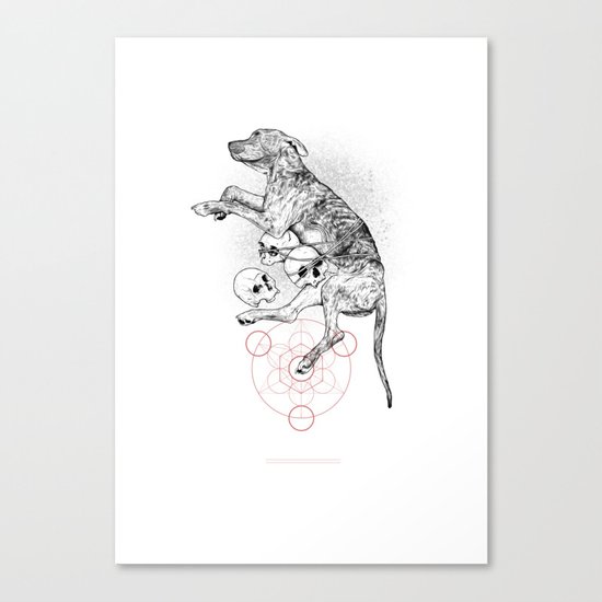 Partial Fractions Canvas Print