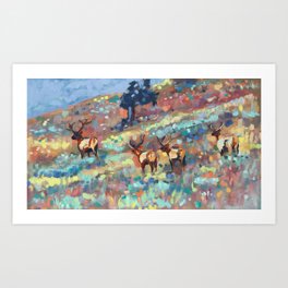 Bull Elk, Yellowstone Art Print