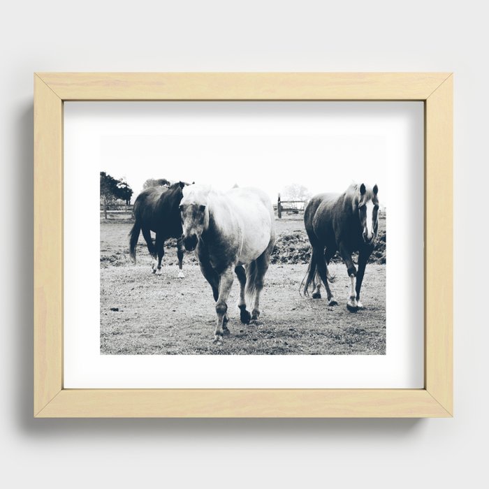 Horse Approach - Support my small business Recessed Framed Print
