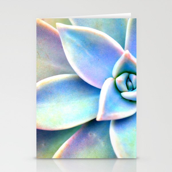 Bright Succulent Stationery Cards