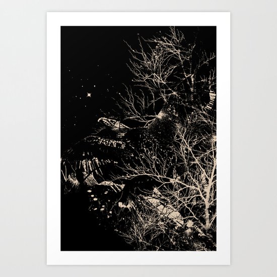 Fly High Art Print