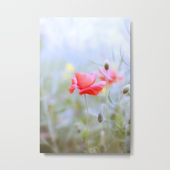 Morning Light Metal Print