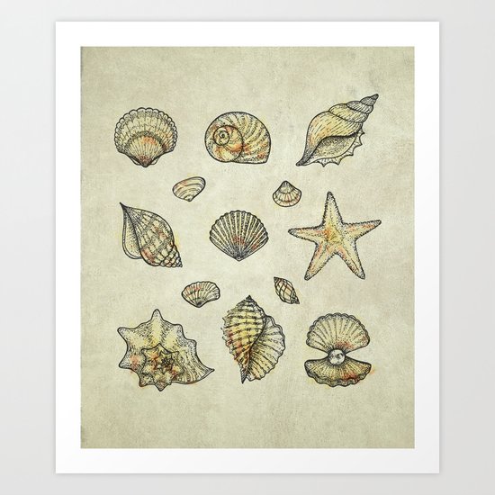 Seashells Art Print