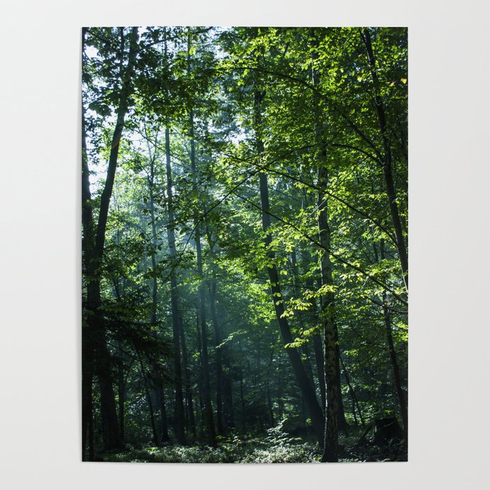 Hello magical morning Poster by Graf | Society6