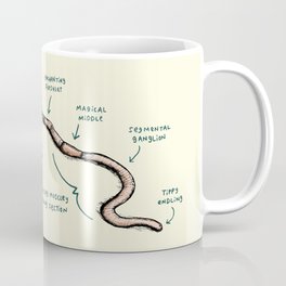 Anatomy of an Earthworm Coffee Mug