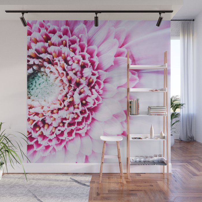 Pink Germini Gerbera Closeup 11 Wall Mural