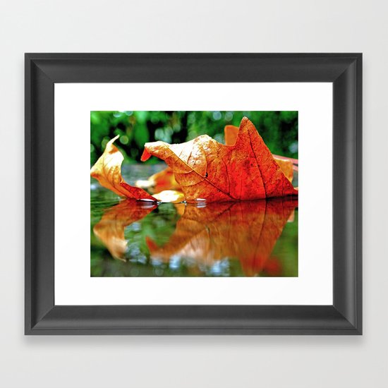 Autumn leaf reflected Framed Art Print