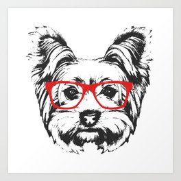 Portrait of Yorkshire Terrier Dog. Art Print