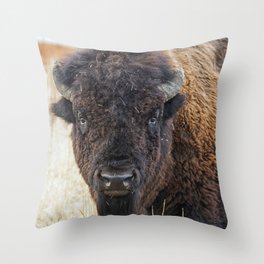 Bison / Buffalo - Staring Contest Throw Pillow
