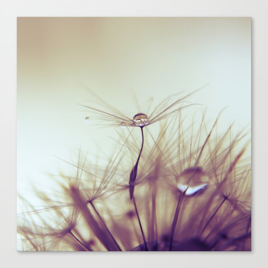 Embrace Canvas Print