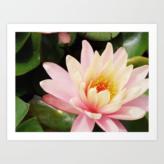 bliss Art Print