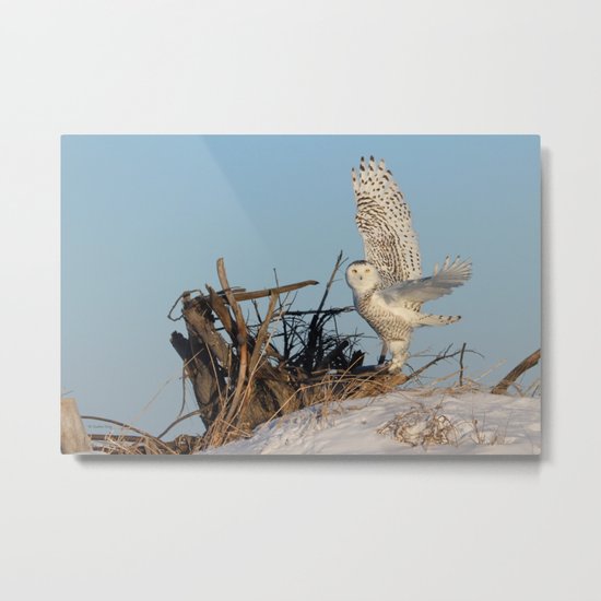 Snowy Ballerina Metal Print