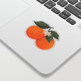 fresh citrus Sticker