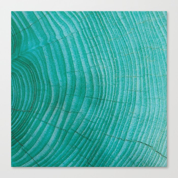 Turquoise wood Canvas Print