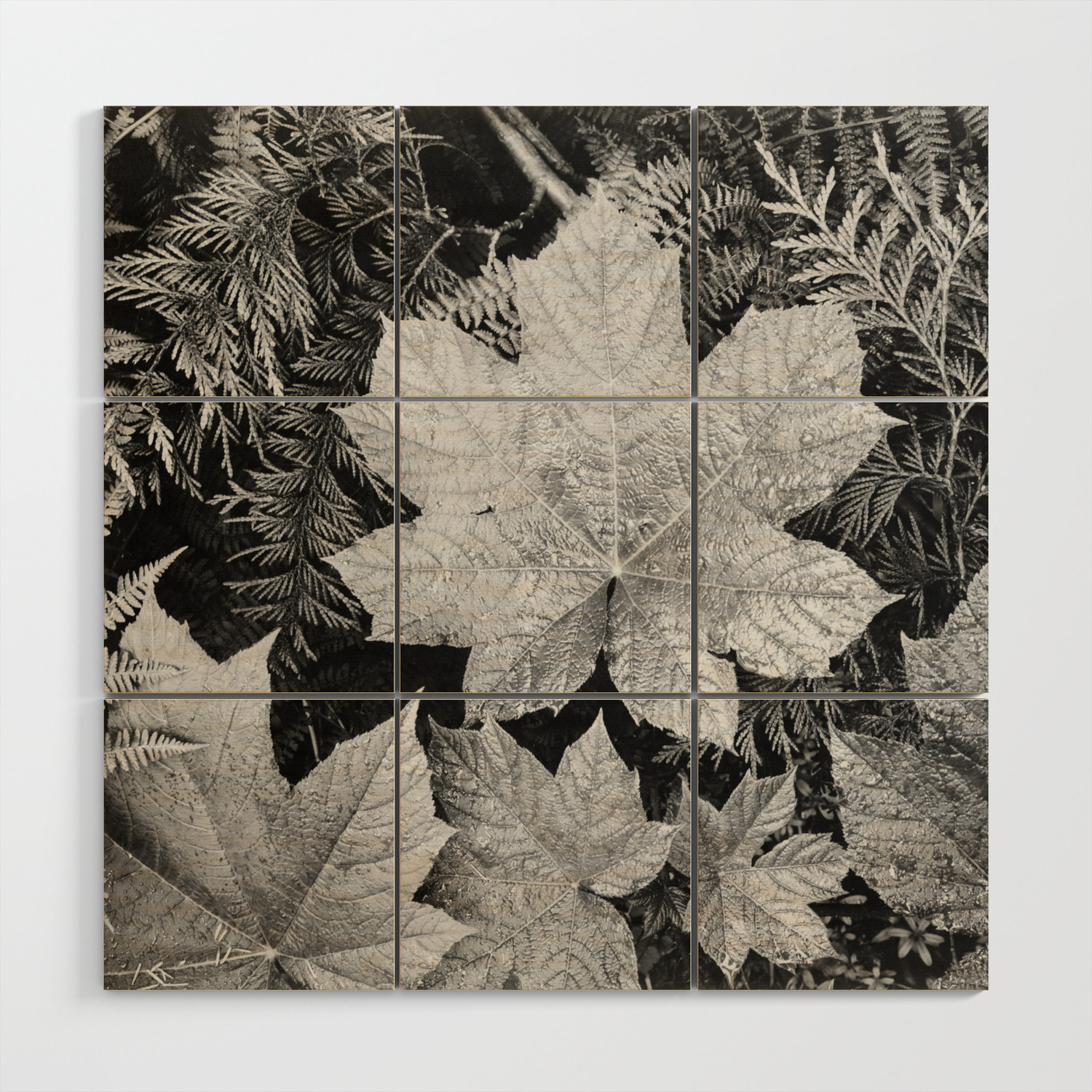 Ansel Adams Leaves Wood Wall Art By Constantchaos Society6