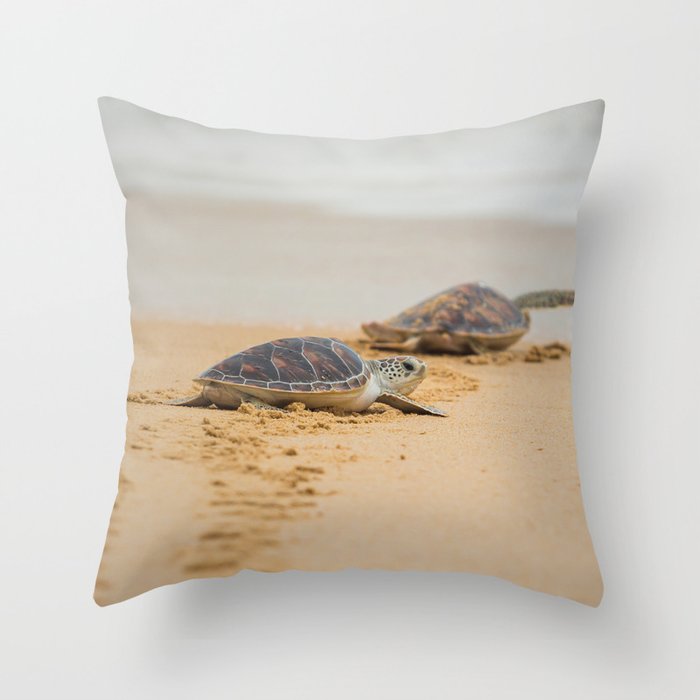 Baby Hawksbill Sea Turtle on the Beach Animal / Wildlife / Nature Photograph Throw Pillow and More