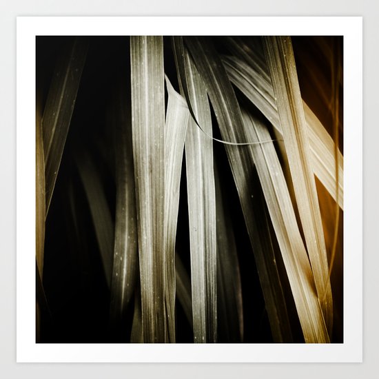 Leafy Grass Detail Art Print