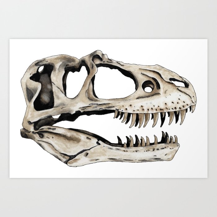 Gorgosaurus Skull Art Print