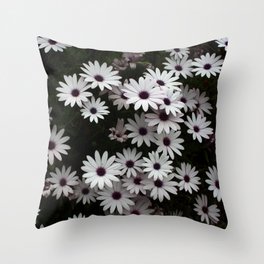 White African Daisies In A Flower Bed Throw Pillow