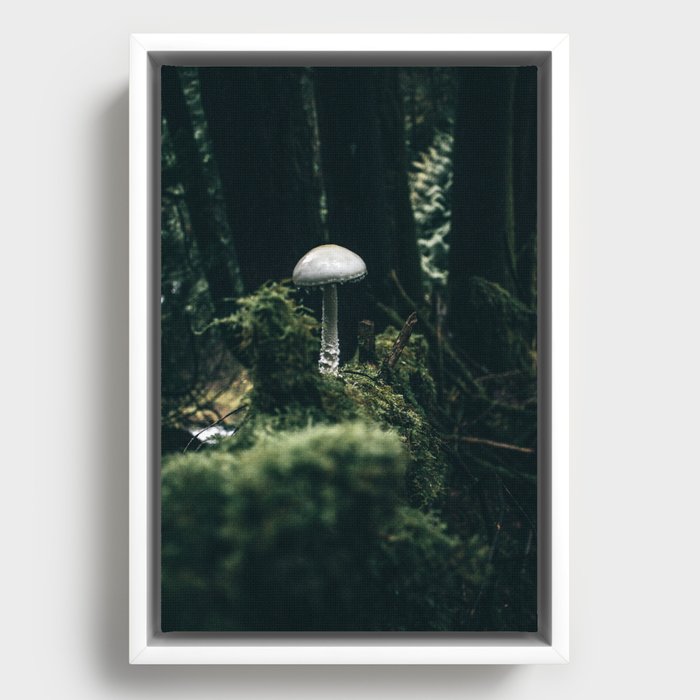 Framed Canvas