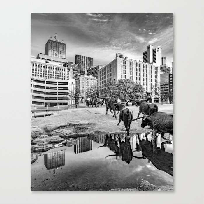 Texas Longhorns Cattle Drive And Dallas City Reflections - Black and White Canvas Print
