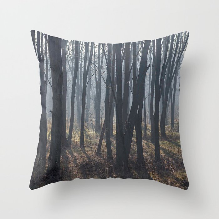 Fog Autumn forest Throw Pillow