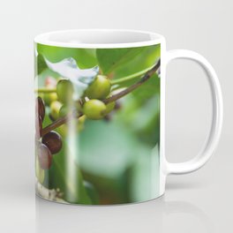 Coffee beans on the bush Mug