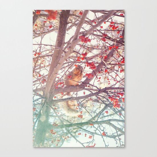 Squirrel Meal on a Cherry Tree Canvas Print