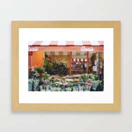 Parisian Flowers Framed Art Print