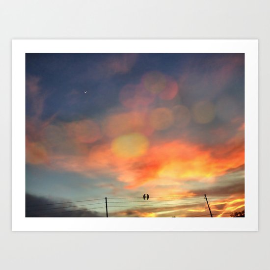 Love birds in the sunset Art Print