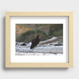 Vultures Recessed Framed Print