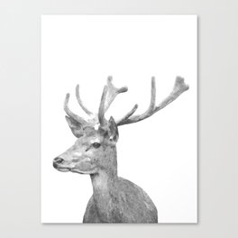 Black and white deer animal portrait Canvas Print