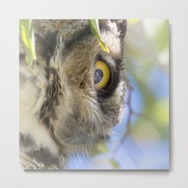Watercolor Bird, Great Horned Owl 18, Estes Park, Colorado Metal Print