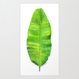 Banana Leaf Watercolor Painting Art Print By Susanwindsor Society6