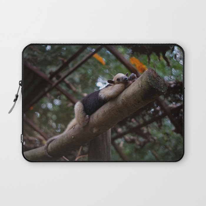 A sleeping mini anteater at Alturas Sanctuary in Costa Rica Laptop Sleeve