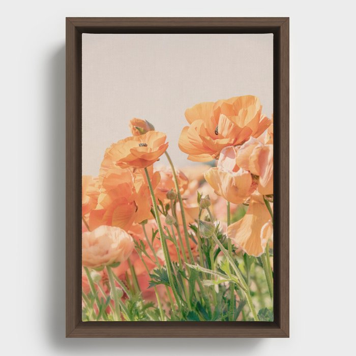 Wildflower Framed Canvas