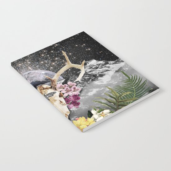 RAVEN Notebook