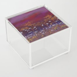 Anion Acrylic Box