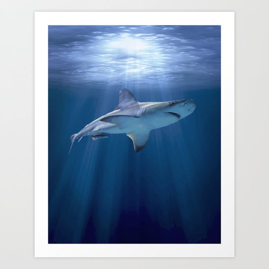 Cruising Shark Art Print