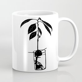 Avocado Tree Growing in Water Coffee Mug