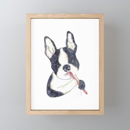 Boston terrier brushing teeth bath watercolor Framed Mini Art Print